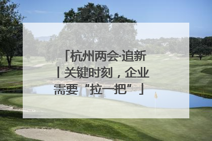 杭州两会·追新丨关键时刻，企业需要“拉一把”